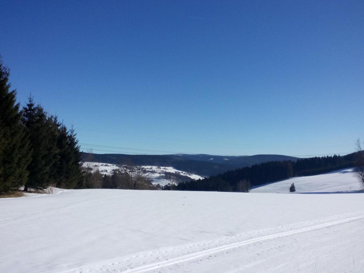 Cozy Apartment In Ore Mountains With Balcony Breitenbrunn  Quarto foto